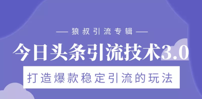 狼叔今日头条引流技术3.0，打造爆款稳定引流的玩法，VLOG引流技术_微雨项目网