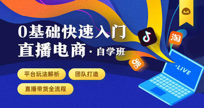 0基础快速入门直播电商课程：直播平台玩法解析-团队打造-带货全流程等环节_微雨项目网