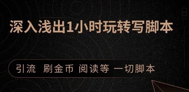 引流脚本实战课：1小时深入浅出视频实操讲解，教你0基础学会写引流脚本_微雨项目网