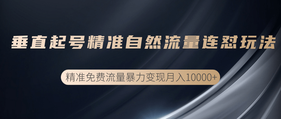 垂直起号精准自然流量连爆玩法，精准引流暴力变现月入10000+_微雨项目网