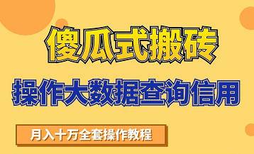 搬砖操作大数据查询信用项目赚钱教程，祝你快速月入6万_微雨项目网