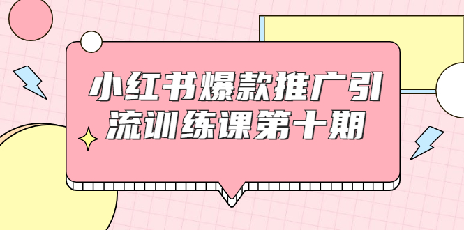 小红书爆款推广引流训练课第十期，手把手带你玩转小红书，轻松月入过万_微雨项目网