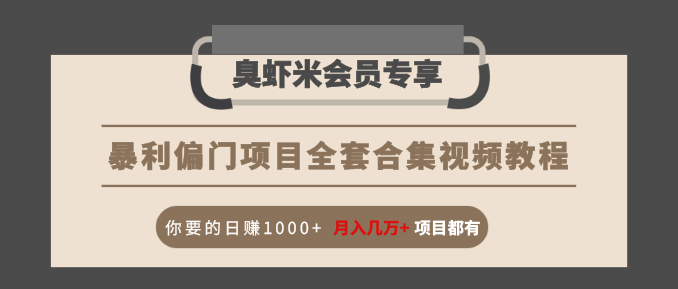 暴利偏门项目全套合集视频教程：你要的日赚1000+月入几万+项目都有_微雨项目网