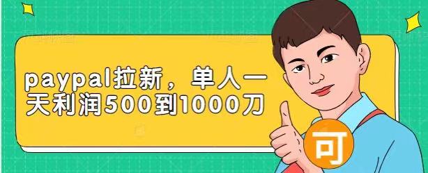 Paypal拉新赚美刀项目，单人一天利润500-1000刀【视频课程】_微雨项目网