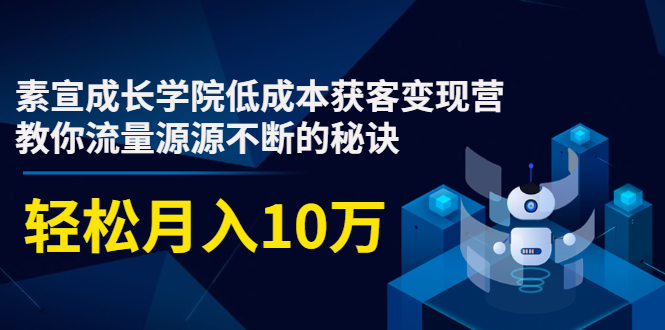 素宣成长学院低成本获客变现营，教你流量源源不断的秘诀，轻松月入10万_微雨项目网