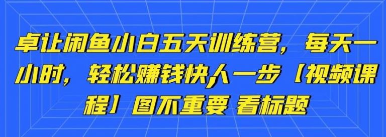 卓让闲鱼小白五天训练营，每天一小时，轻松赚钱快人一步_微雨项目网