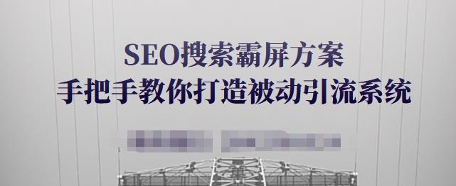 SEO搜索霸屏方案，手把手教你打造被动引流系统【视频课程】_微雨项目网