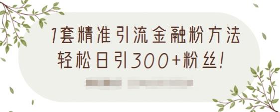 1套精准引流金融粉方法，轻松日引300+粉丝_微雨项目网