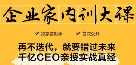 企业家内训大课，未来企业必学经验，价值1299元_微雨项目网