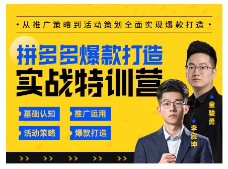 玺承云·拼多多爆款打造实战特训营，一套从入门到高手课程，让你快速拿捏拼多多_微雨项目网