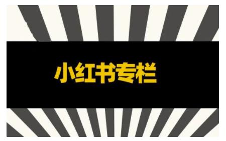 品牌医生·小红书全链营销干货，5个起盘案例，7个内容方向，n条避坑指南_微雨项目网