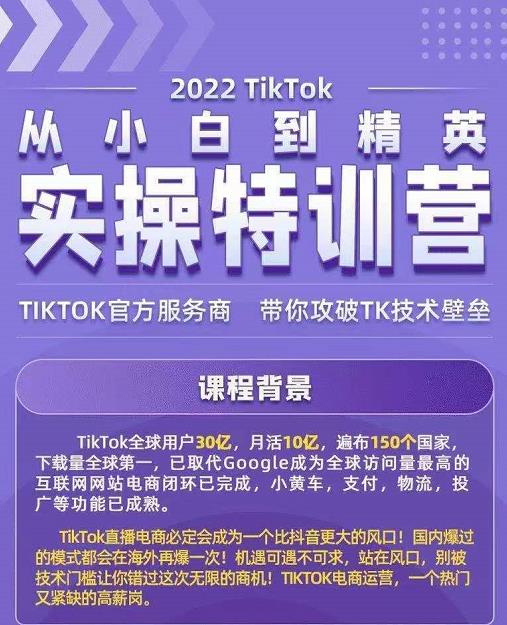 Seven漆·2022Tiktok从小白到精英实操特训营，带你掌握Tiktok账号运营_微雨项目网