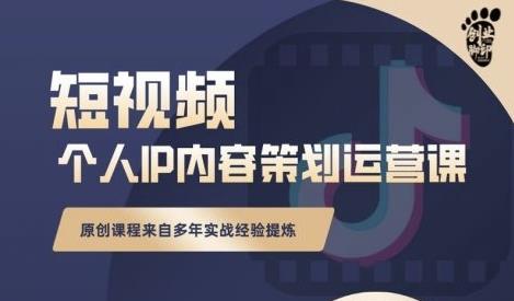 抖音短视频个人ip内容策划实操课，真正做到普通人也能实行落地_微雨项目网