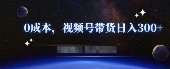 零基础视频号带货赚钱项目，0成本0门槛轻松日入300+【视频教程】_微雨项目网