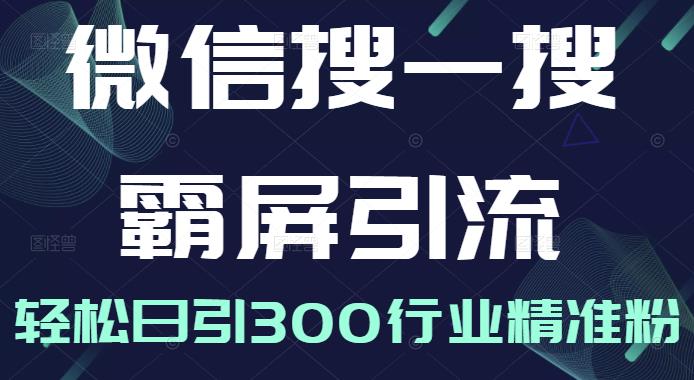 微信搜一搜霸屏引流课，打造被动精准引流系统，轻松日引300行业精准粉_微雨项目网