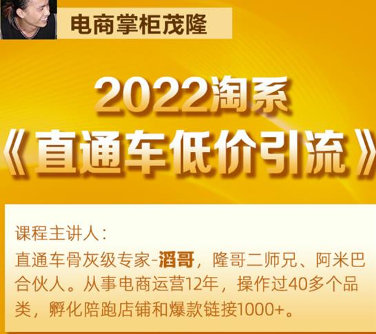 茂隆2022直通车低价引流玩法，教大家如何低投入高回报的直通车玩法_微雨项目网