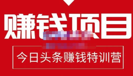 懒人领域·今日头条项目玩法，头条中视频项目，单号收益在50—500可批量_微雨项目网