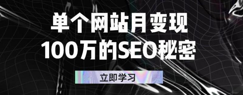 单个网站月变现100万的SEO秘密，百分百做出赚钱站点_微雨项目网