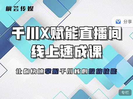 枫芸传媒-线上千川提升课，提升千川认知，提升千川投放效果_微雨项目网