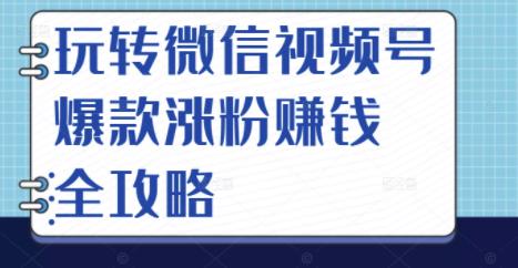 玩转微信视频号爆款涨粉赚钱全攻略，让你快速抓住流量风口，收获红利财富_微雨项目网