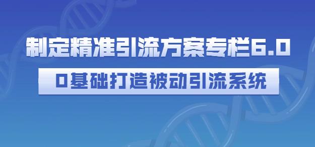 制定精准引流方案专栏6.0，0基础打造被动引流系统_微雨项目网