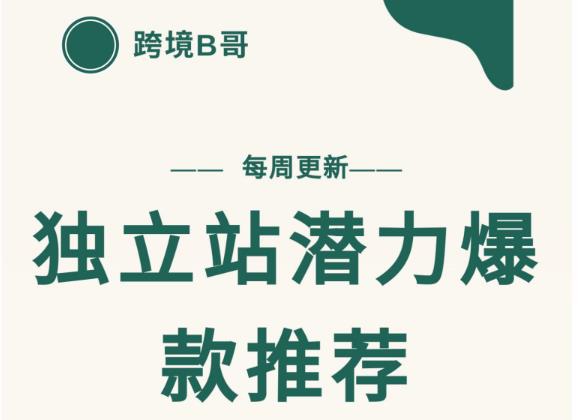 【跨境B哥】独立站潜力爆款选品推荐，测款出单率高达百分之80_微雨项目网