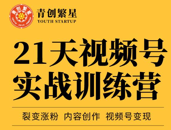 张萌21天视频号实战训练营，裂变涨粉、内容创作、视频号变现 价值298元_微雨项目网