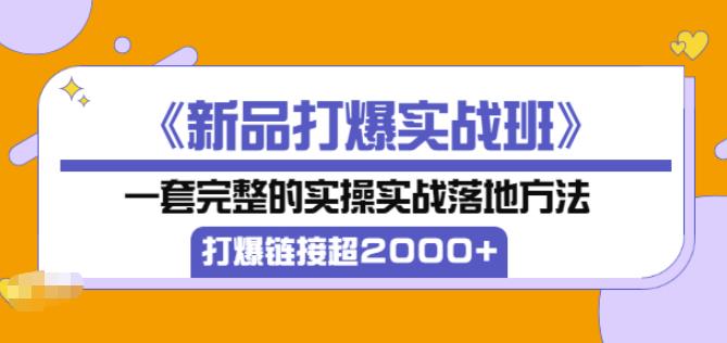 凌童《新品打爆实战班》,一套完整的实操实战落地方法，打爆链接超2000+（28节课)_微雨项目网