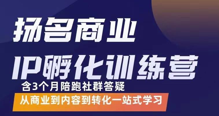 杨名商业IP孵化训练营，从商业到内容到转化一站式学 价值5980元_微雨项目网