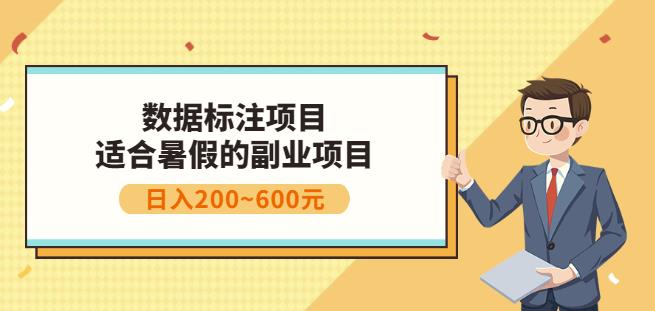 副业赚钱：人工智能数据标注项目，简单易上手，小白也能日入200+_微雨项目网