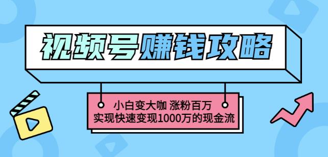 玩转微信视频号赚钱：小白变大咖涨粉百万实现快速变现1000万的现金流_微雨项目网