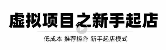 虚拟项目快速起店模式，0成本打造月入几万虚拟店铺！_微雨项目网