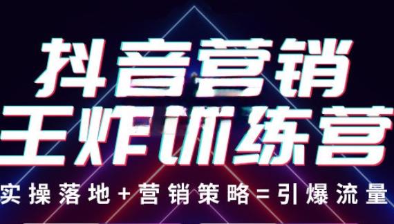 抖音营销王炸训练营，实操落地+营销策略=引爆流量（价值8960元）_微雨项目网