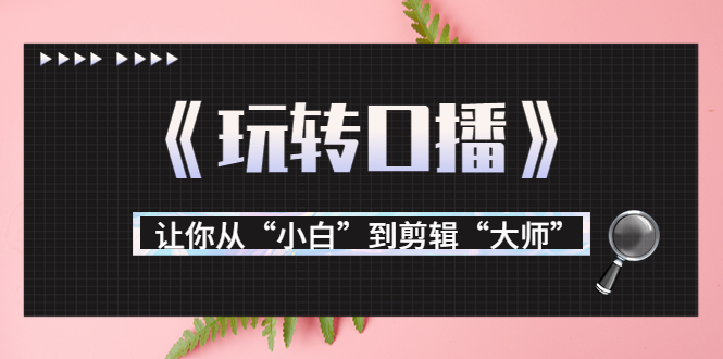 月营业额700万+大佬教您《玩转口播》让你从“小白”到剪辑“大师”_微雨项目网