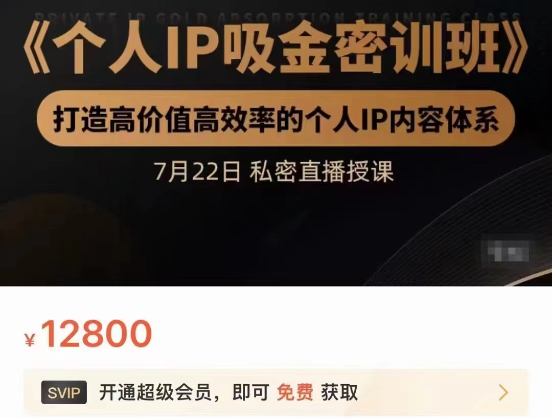 个人IP吸金密训班，打造高价值高效率的个人IP内容体系（价值12800元）_微雨项目网