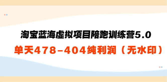 淘宝蓝海虚拟项目陪跑训练营5.0：单天478纯利润_微雨项目网