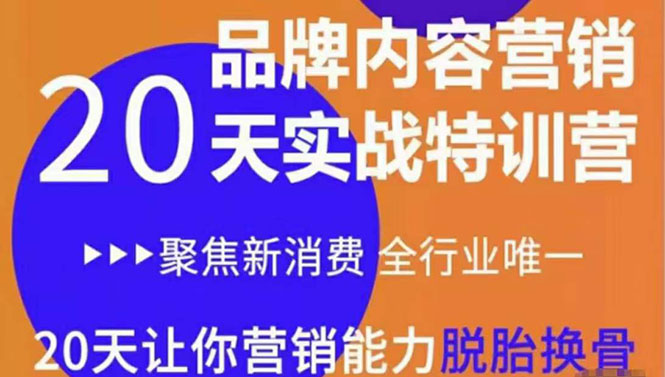 《内容营销实操特训营》20天让你营销能力脱胎换骨（价值3999）_微雨项目网