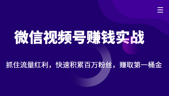 微信视频号赚钱实战：抓住流量红利，快速积累百万粉丝，赚取你的第一桶金_微雨项目网