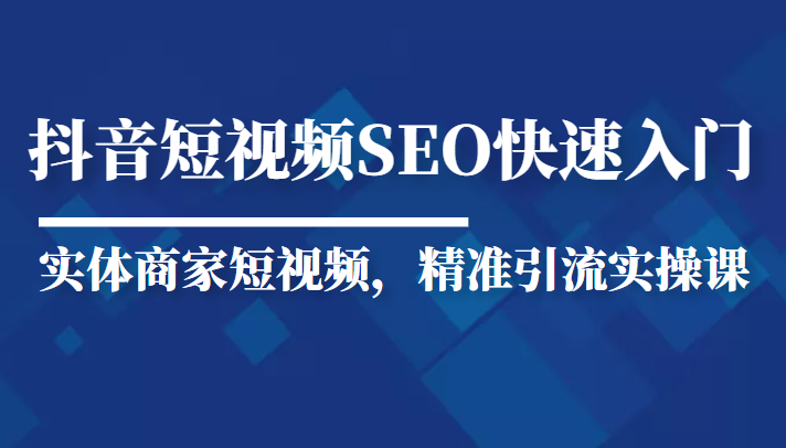 抖音短视频Seo搜索排名优化新手快速入门教程，实体商家短视频，精准引流实操课_微雨项目网