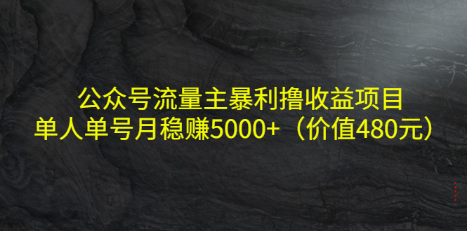 公众号流量主暴利撸收益项目，单人单号月稳赚5000+（价值480元）_微雨项目网