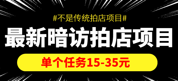 最新暗访拍店信息差项目，单个任务15-35元（不是传统拍店项目）_微雨项目网