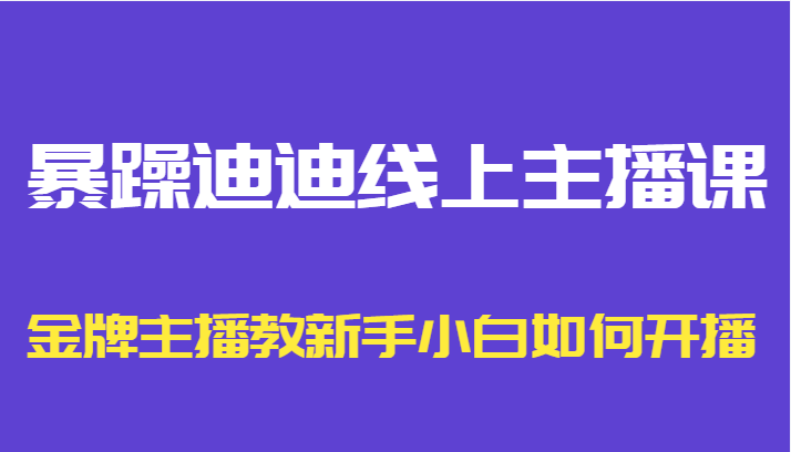 暴躁迪迪线上主播课，金牌主播教新手小白如何开播_微雨项目网