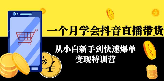 一个月学会抖音直播带货：从小白新手到快速爆单变现特训营(63节课)_微雨项目网