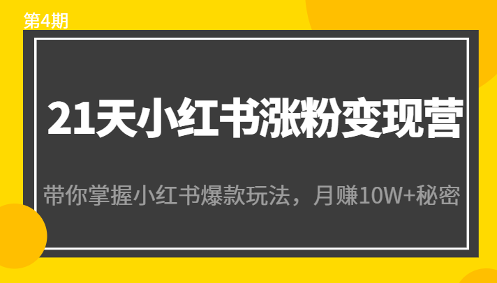 21天小红书涨粉变现营（第4期）：带你掌握小红书爆款玩法，月赚10W+秘密_微雨项目网