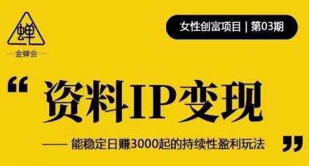 资料IP变现，能稳定日赚3000起的持续性盈利玩法_微雨项目网