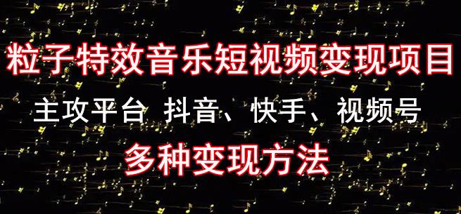 黄岛主《粒子特效音乐短视频变现项目》主攻平台抖音、快手、视频号多种变现方法_微雨项目网