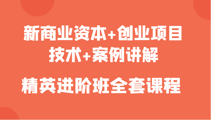 新商业资本+创业项目，技术+案例讲解，精英进阶班全套课程_微雨项目网