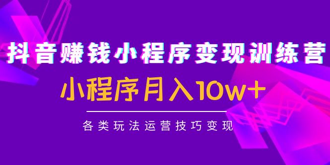 抖音赚钱小程序变现训练营：小程序月入10w+各类玩法运营技巧变现_微雨项目网