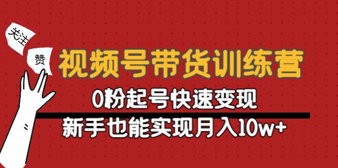 视频号带货训练营：0粉起号快速变现，新手也能实现月入10w+_微雨项目网