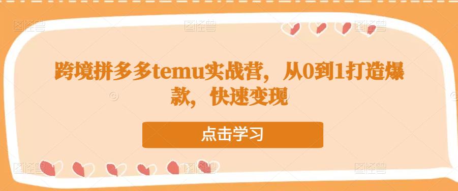 跨境拼多多temu实战营，从0到1打造爆款，快速变现_微雨项目网